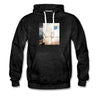 Transitions Hoodie